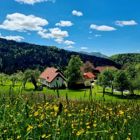 Prázdninový dům Apartma1 Pri Adamu