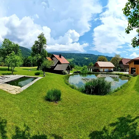 Apartma1 Pri Adamu * Mislinja