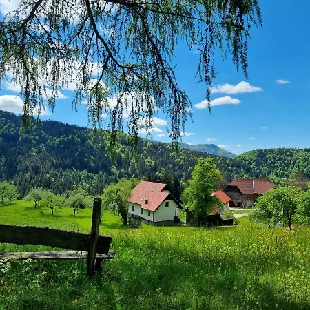 Vikendica Apartma1 Pri Adamu Mislinja