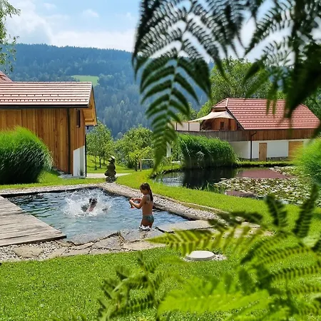 Apartma1 Pri Adamu * Mislinja